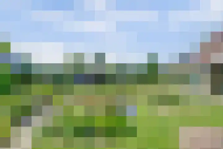 Bredeweg 13 Sirjansland thumbnail 46
