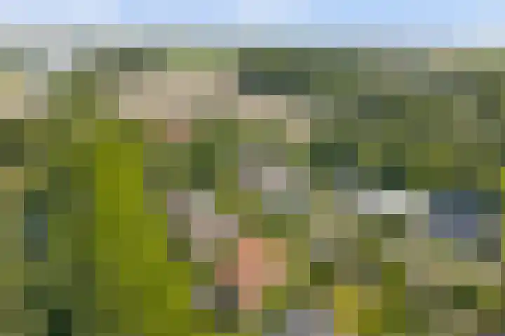 Bredeweg 13 Sirjansland thumbnail 49