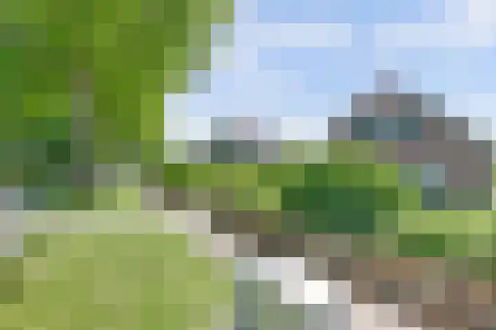Bredeweg 13 Sirjansland thumbnail 5