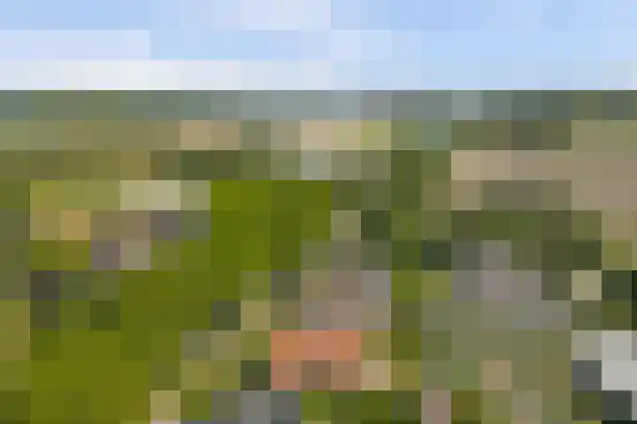 Bredeweg 13 Sirjansland thumbnail 50