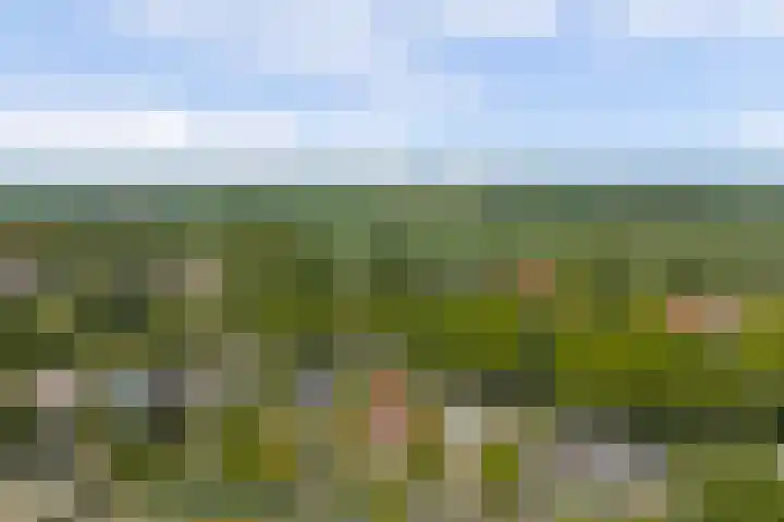 Bredeweg 13 Sirjansland thumbnail 51