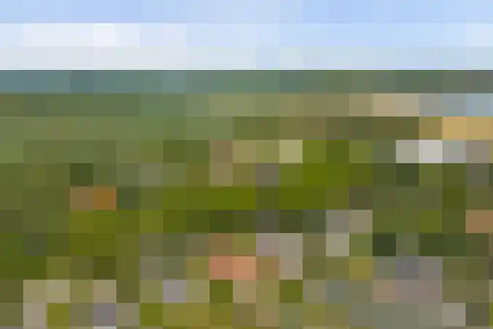 Bredeweg 13 Sirjansland thumbnail 53