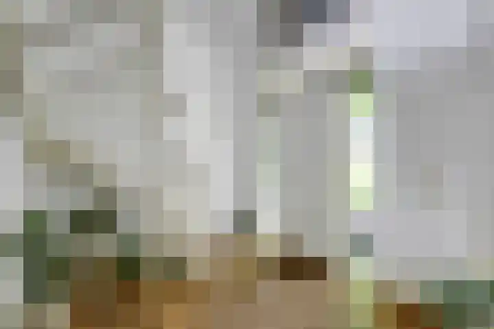 Bredeweg 13 Sirjansland thumbnail 8