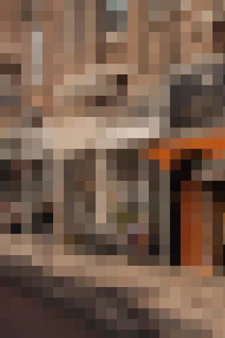 Bredeweg 15 1 Amsterdam thumbnail 30