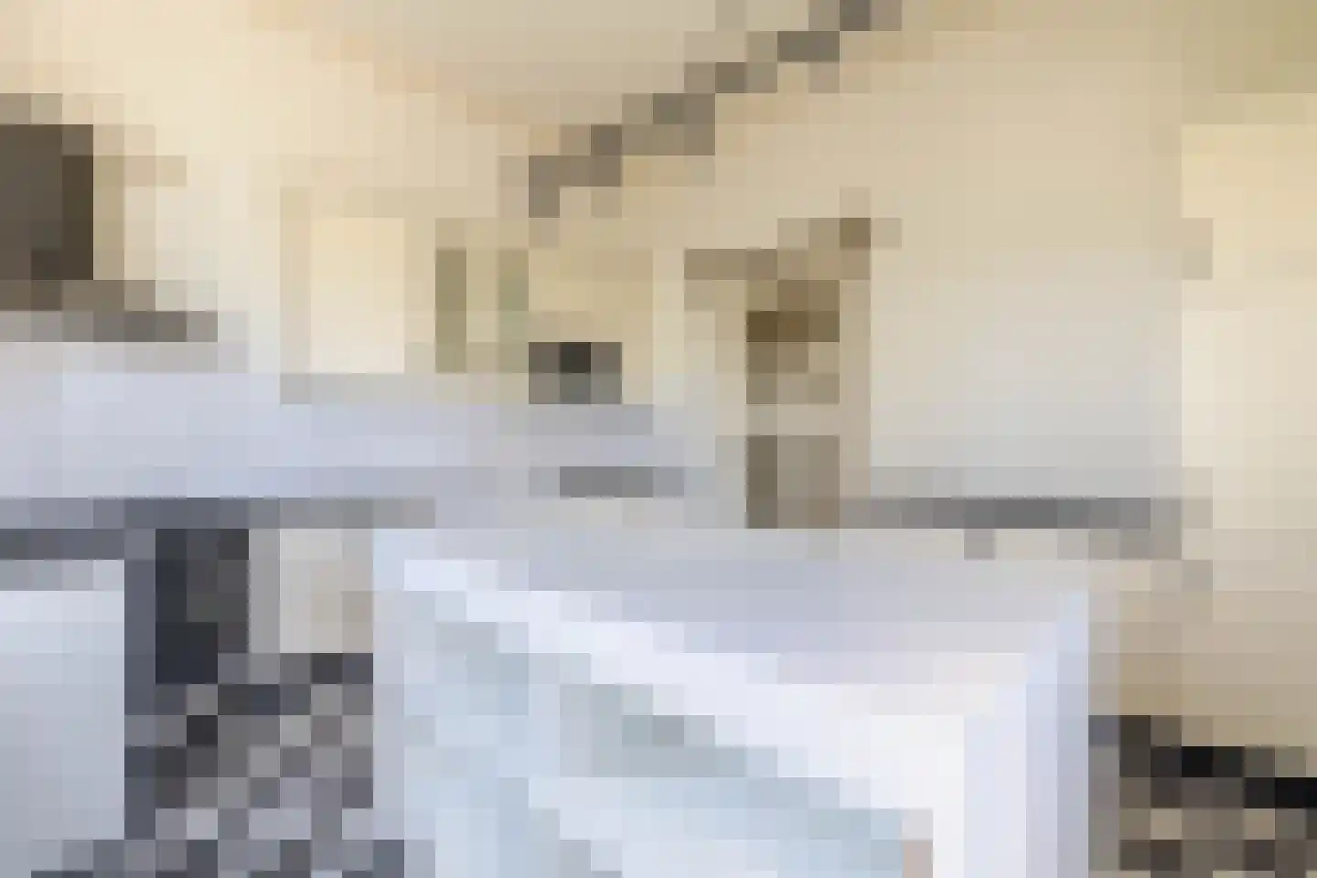 Bredeweg 15 Muntendam thumbnail 20