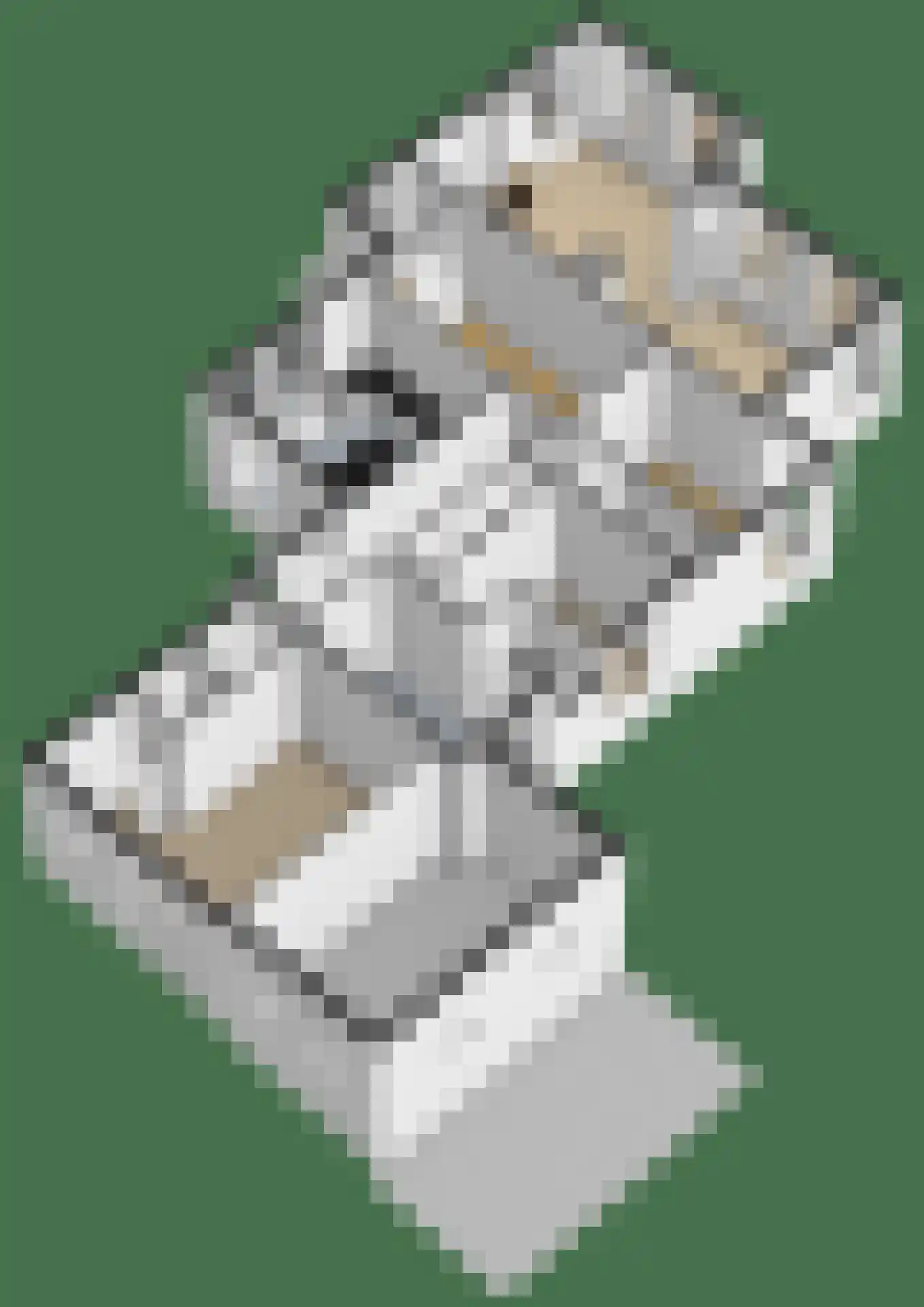 Bredeweg 15 Muntendam thumbnail 60