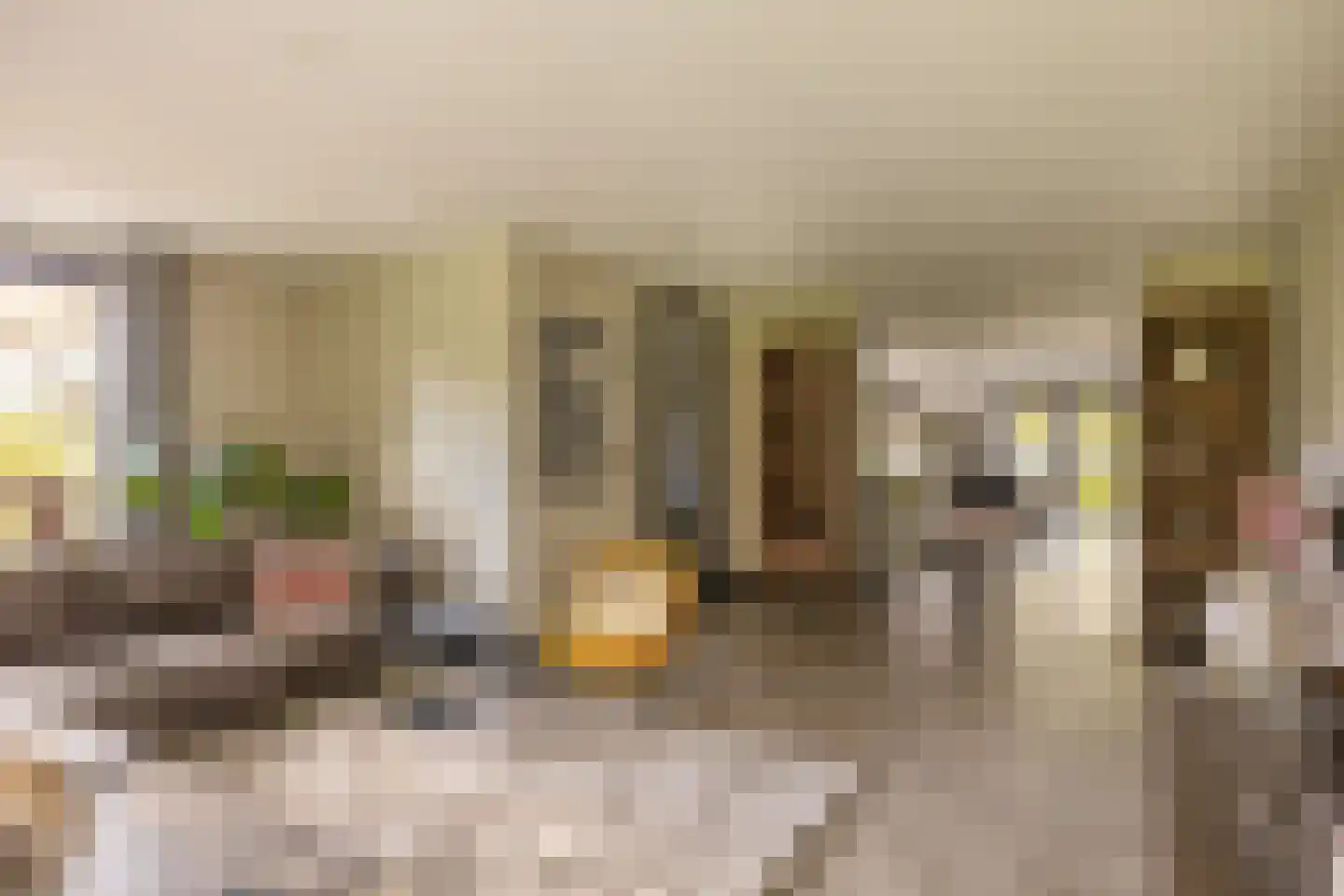 Bredeweg 15 Waddinxveen thumbnail 12