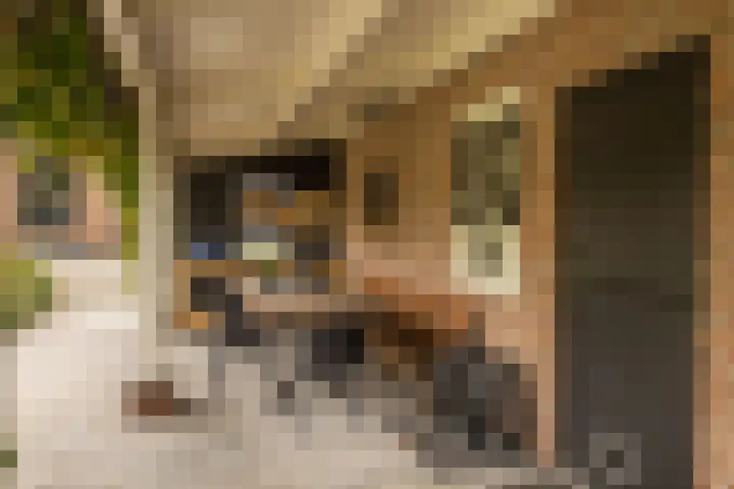 Bredeweg 15 Waddinxveen thumbnail 25