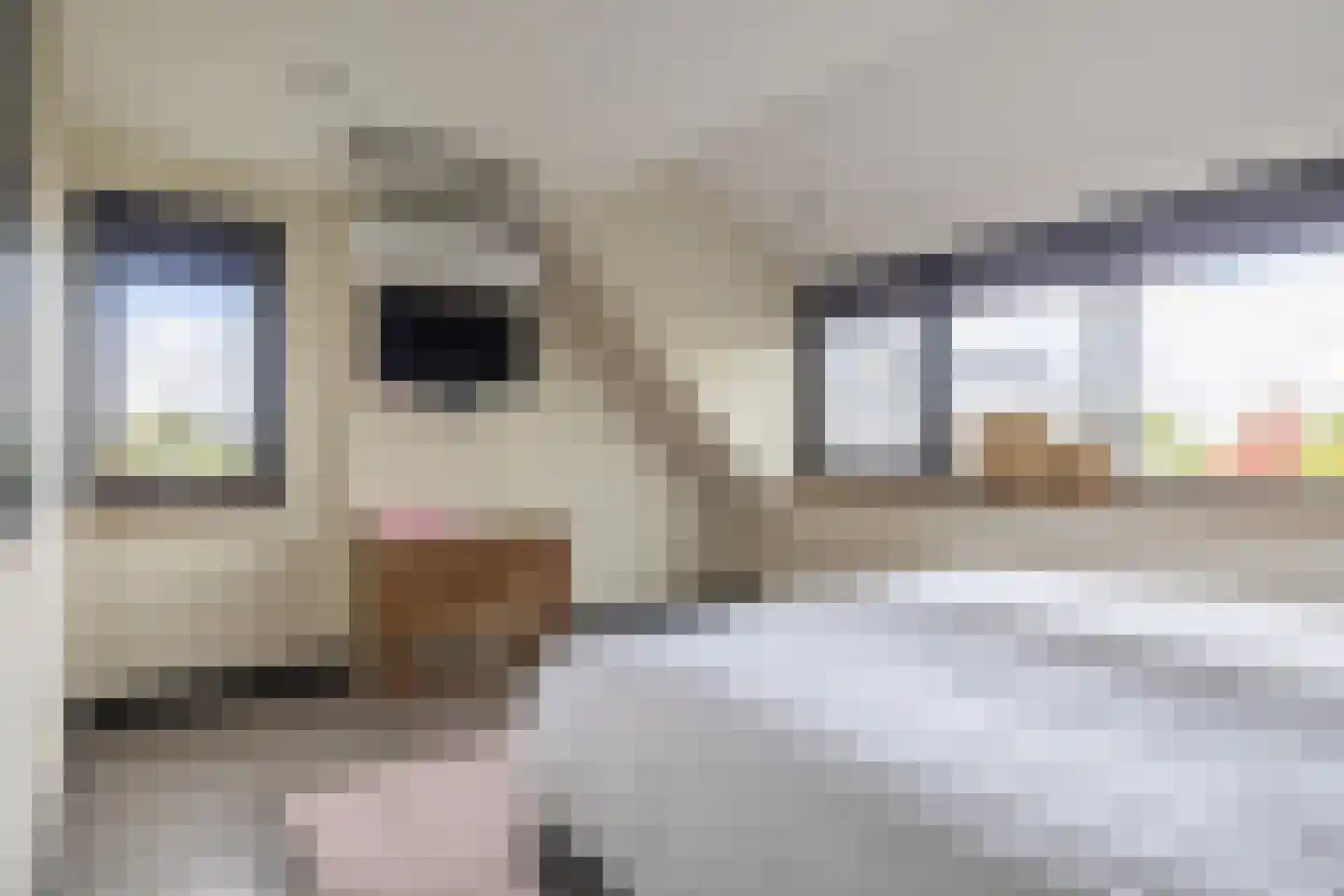 Bredeweg 15 Waddinxveen thumbnail 28
