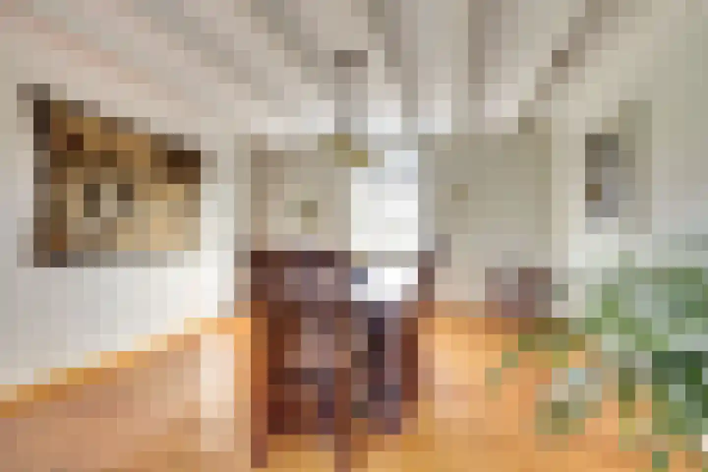 Bredeweg 16 Cothen thumbnail 16
