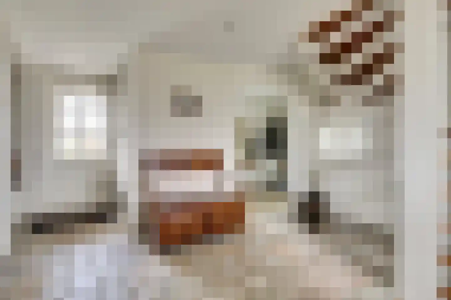 Bredeweg 16 Cothen thumbnail 18