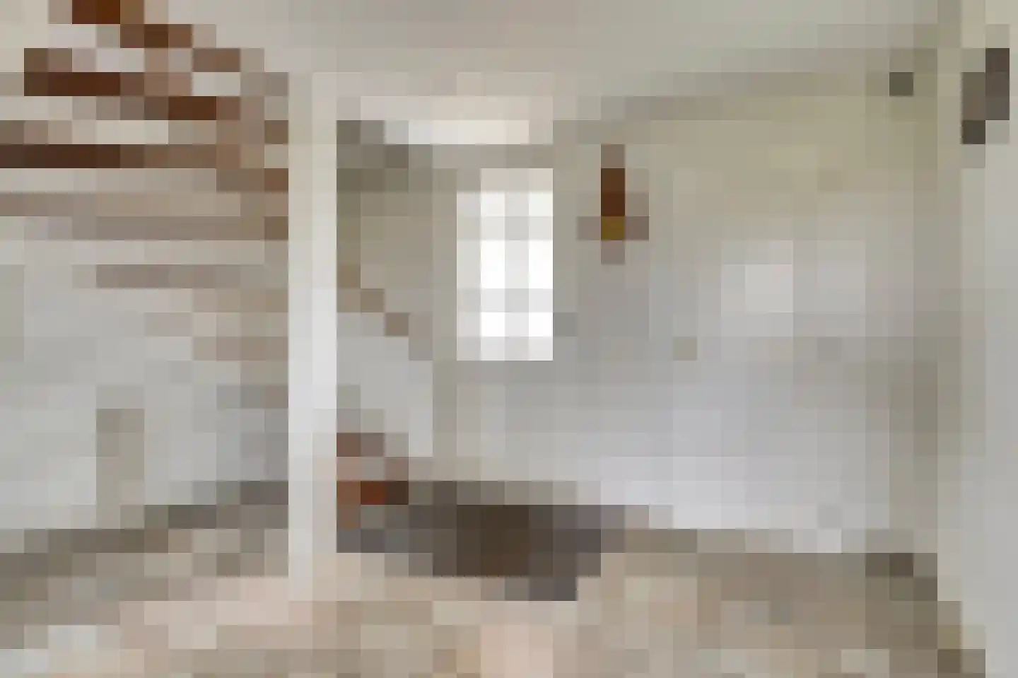 Bredeweg 16 Cothen thumbnail 20