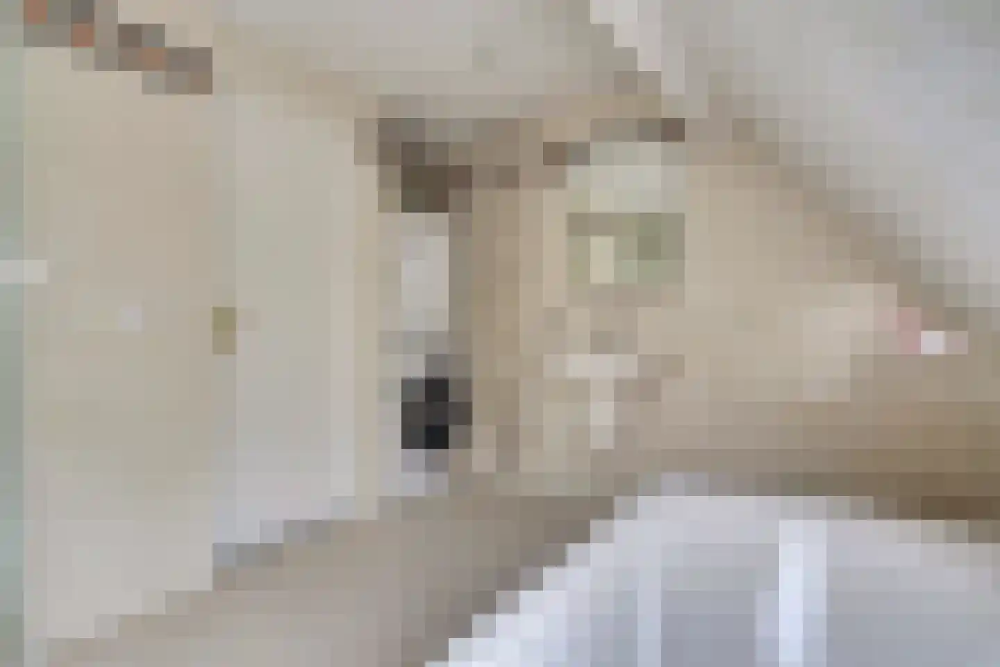 Bredeweg 16 Cothen thumbnail 31