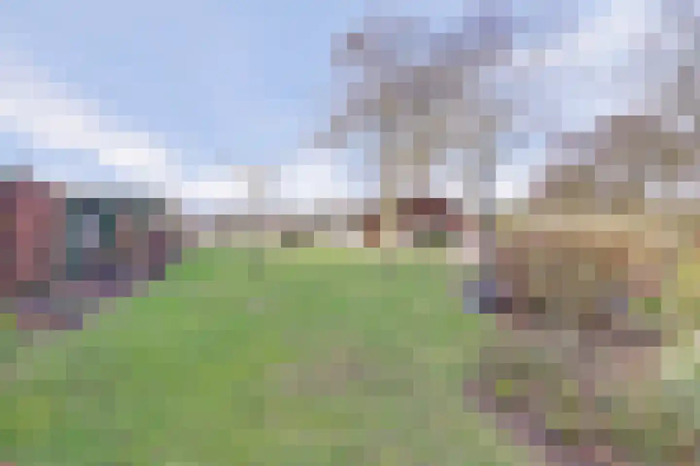 Bredeweg 16 Cothen thumbnail 39