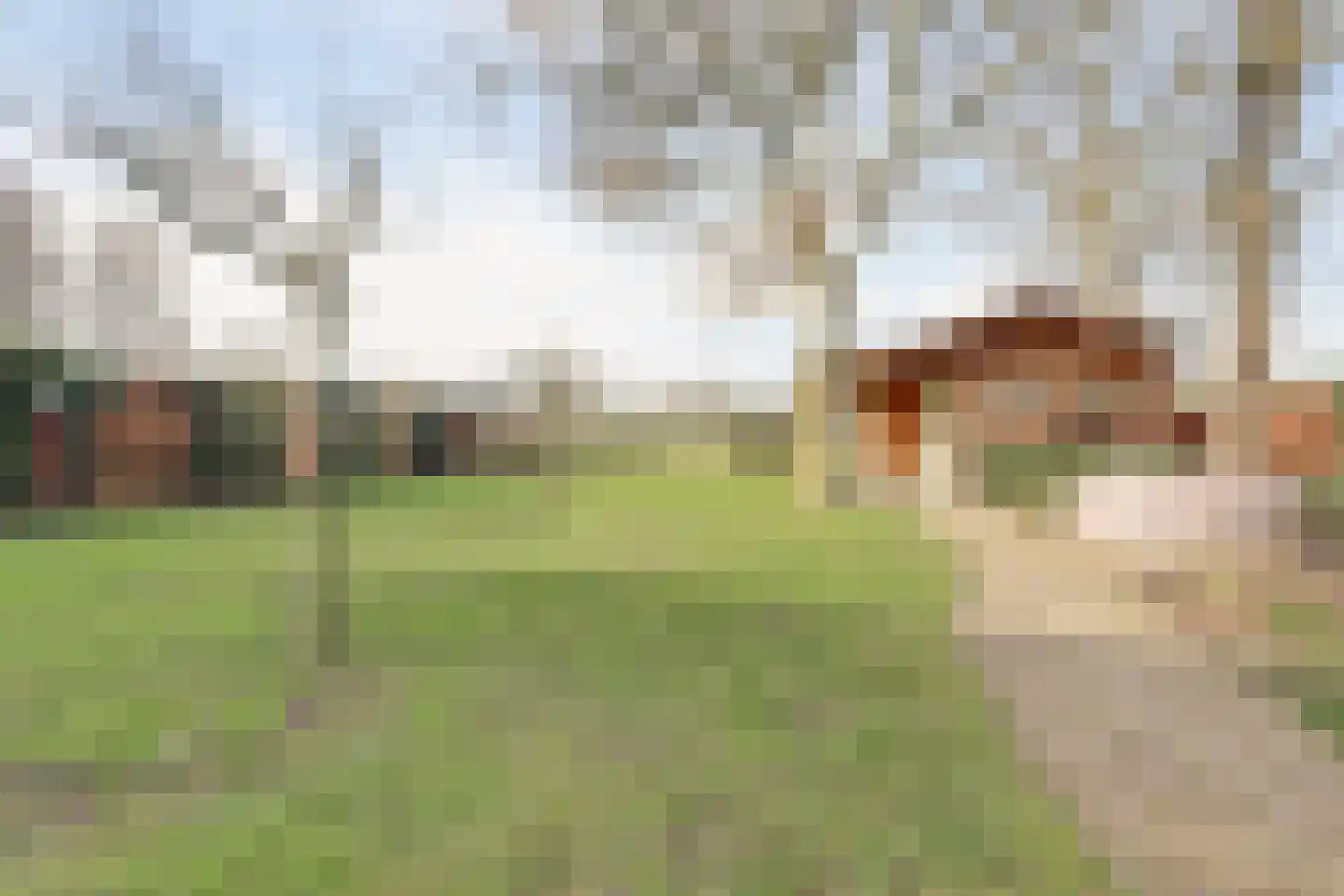 Bredeweg 16 Cothen thumbnail 40
