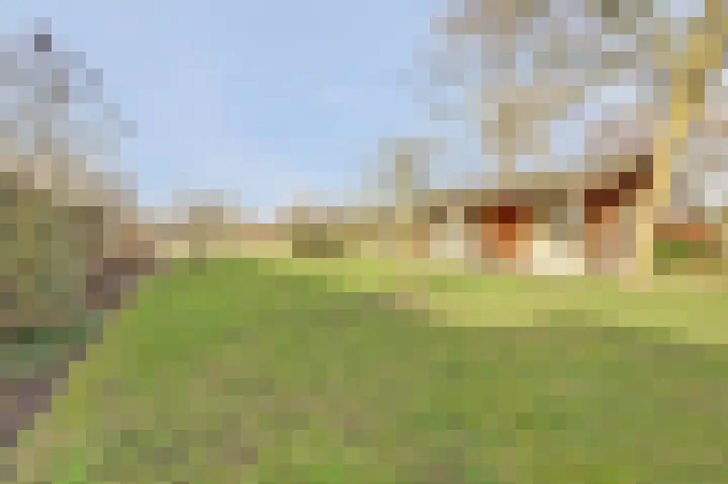 Bredeweg 16 Cothen thumbnail 42