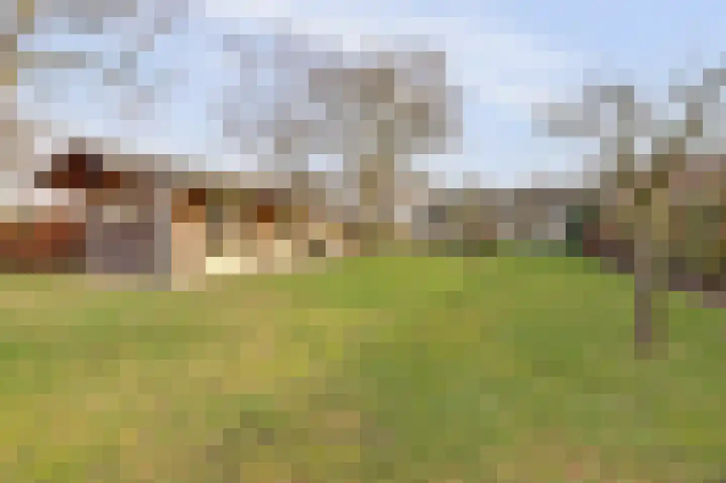 Bredeweg 16 Cothen thumbnail 43