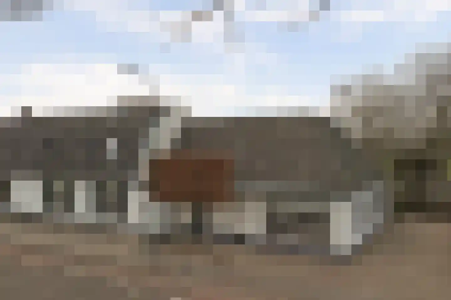 Bredeweg 16 Cothen thumbnail 48