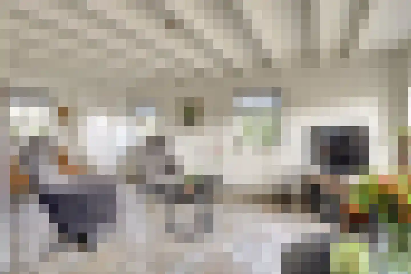 Bredeweg 16 Cothen thumbnail 6