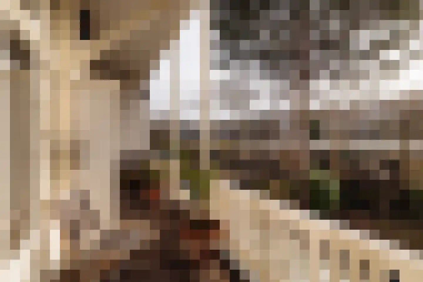 Bredeweg 16 H Amsterdam thumbnail 17