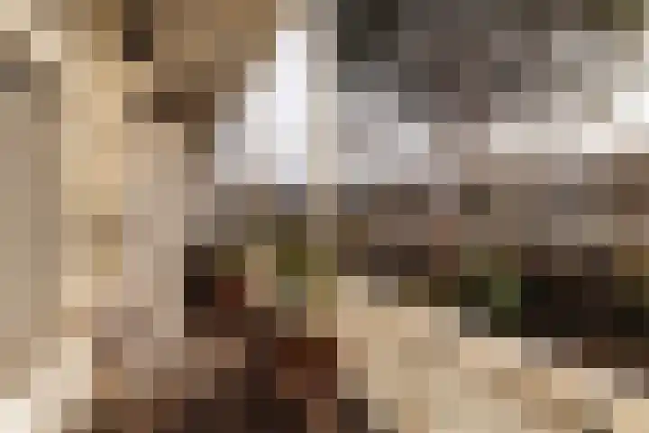 Bredeweg 16 H Amsterdam thumbnail 17