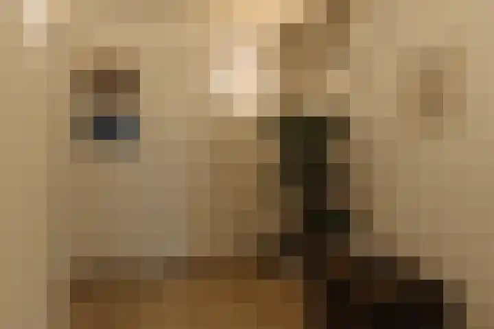 Bredeweg 16 H Amsterdam thumbnail 18