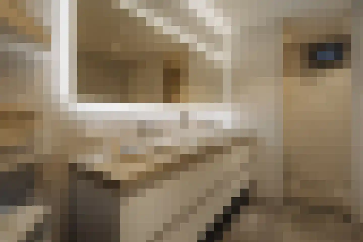 Bredeweg 16 H Amsterdam thumbnail 19