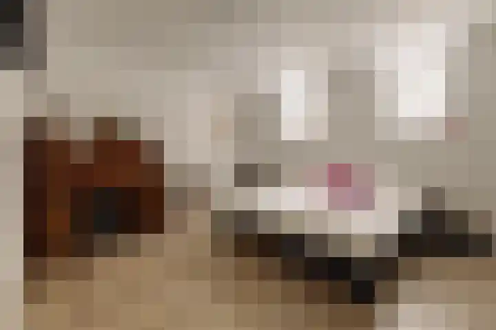 Bredeweg 16 H Amsterdam thumbnail 21