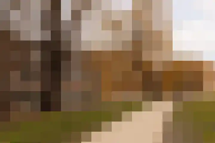 Bredeweg 16 H Amsterdam thumbnail 29