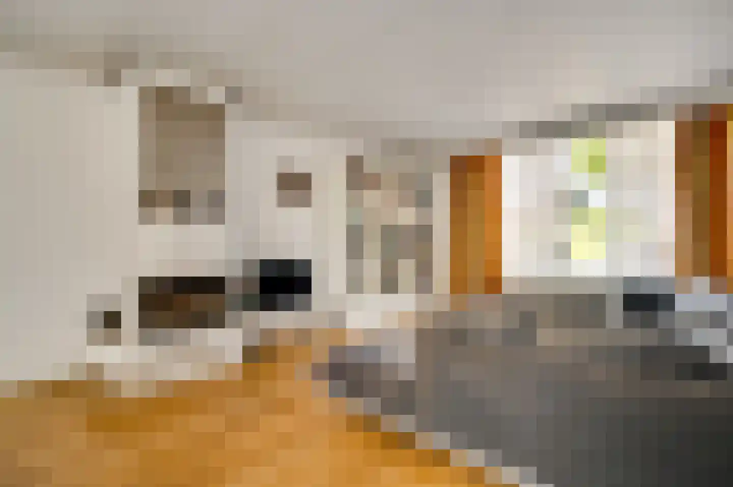 Bredeweg 173 Roermond thumbnail 15