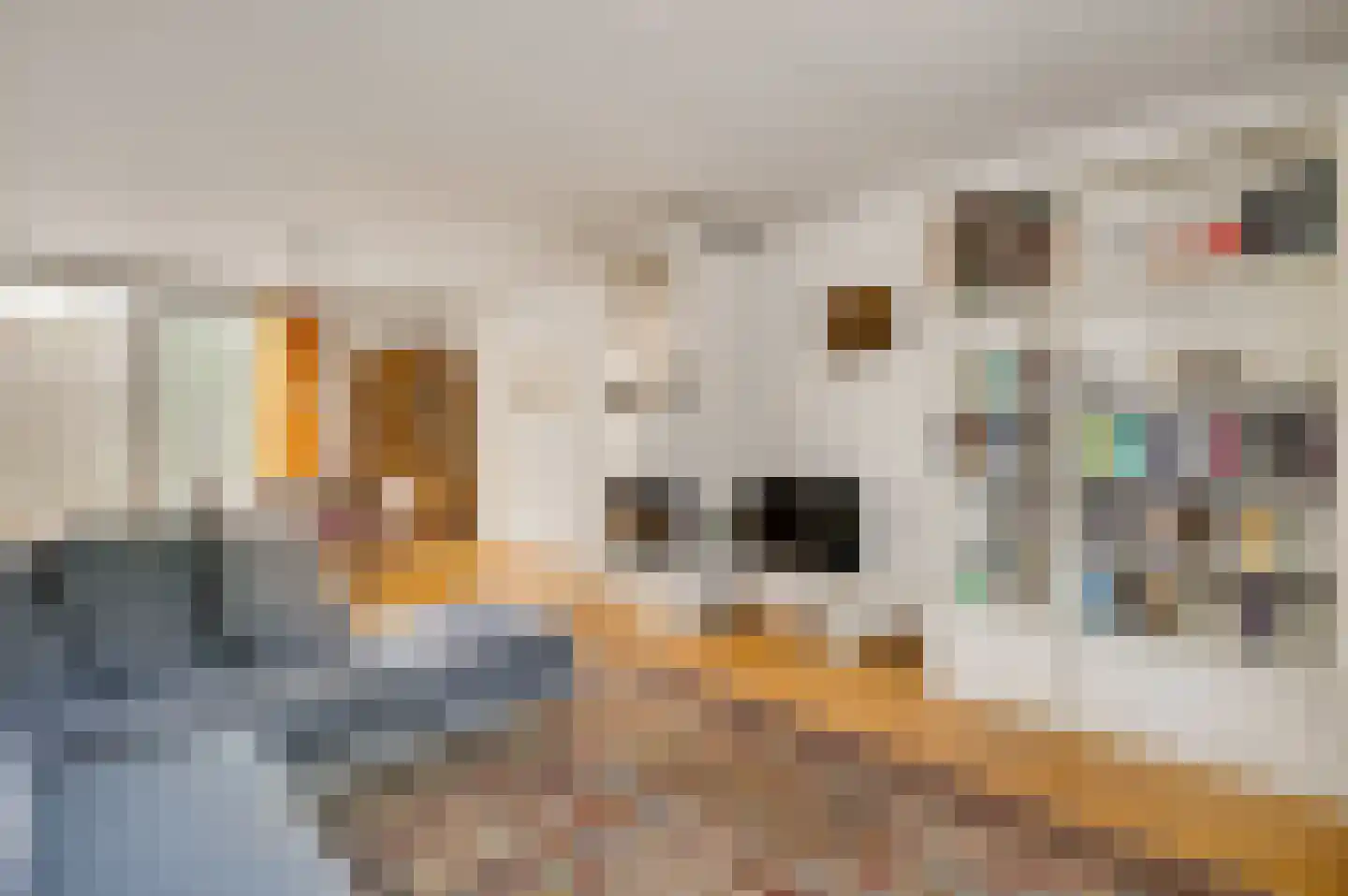 Bredeweg 173 Roermond thumbnail 16