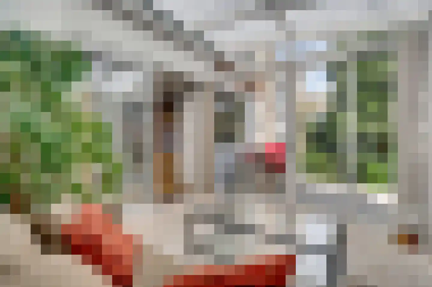 Bredeweg 173 Roermond thumbnail 19
