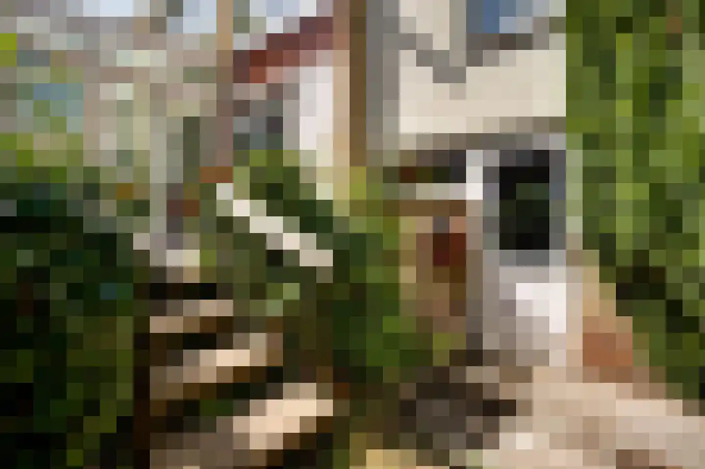Bredeweg 173 Roermond thumbnail 28