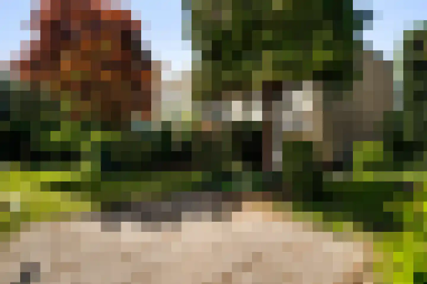 Bredeweg 173 Roermond thumbnail 30