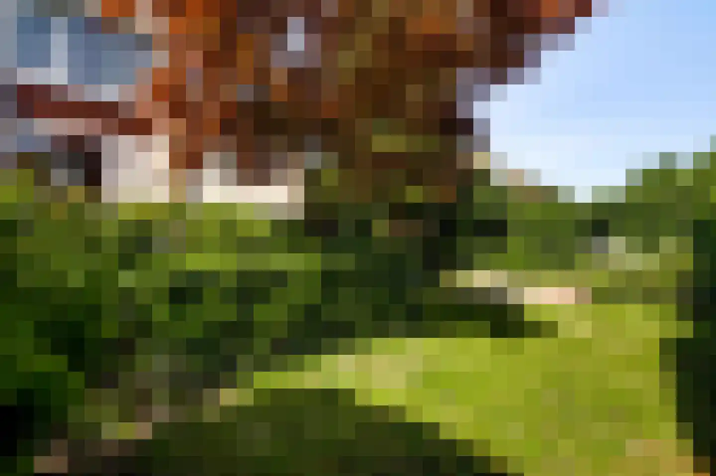 Bredeweg 173 Roermond thumbnail 32