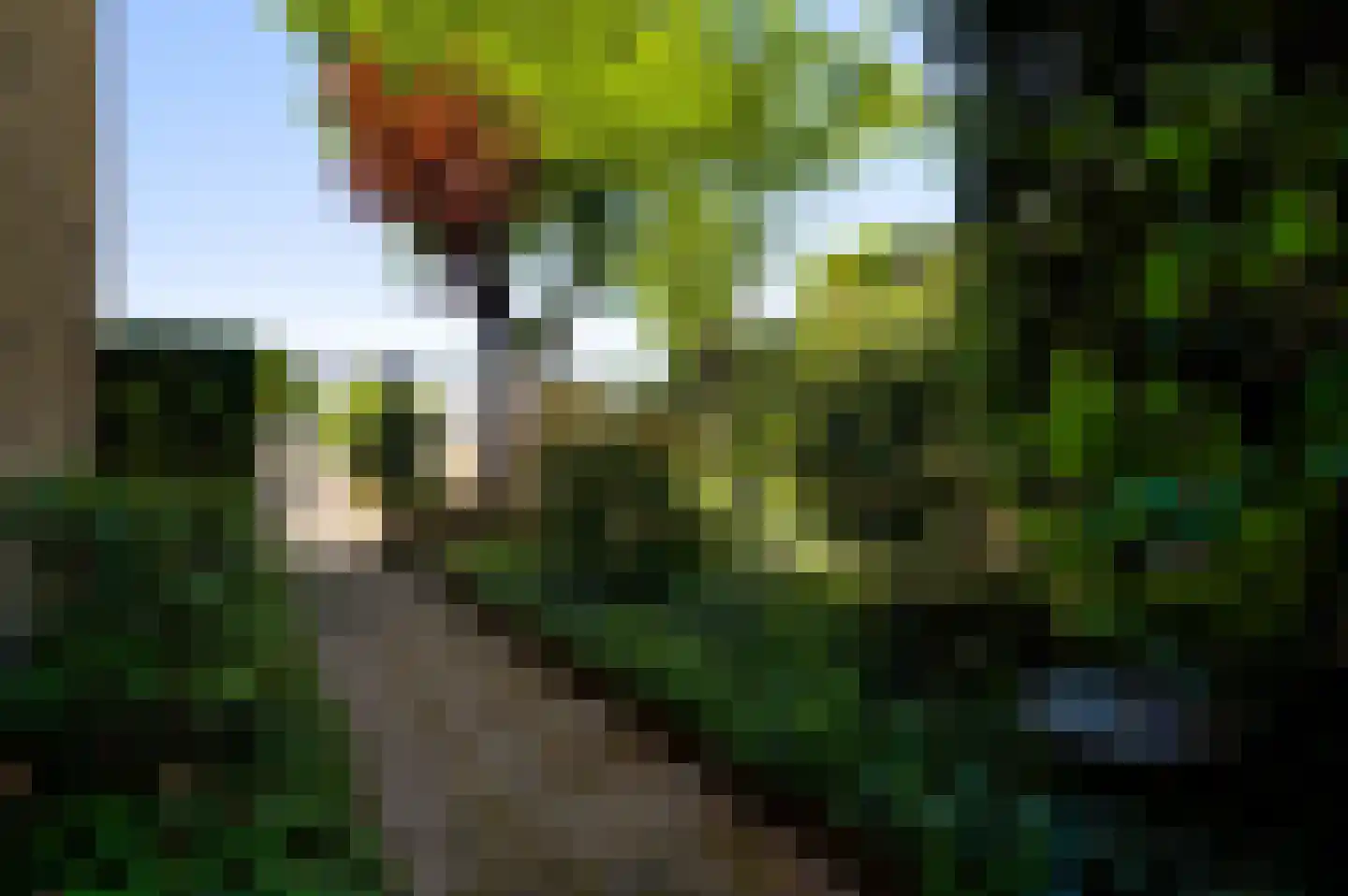 Bredeweg 173 Roermond thumbnail 33