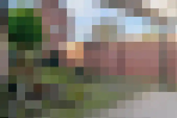 Bredeweg 20 Roermond thumbnail 5