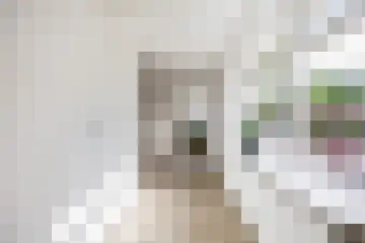 Bredeweg 23 Westeremden thumbnail 23