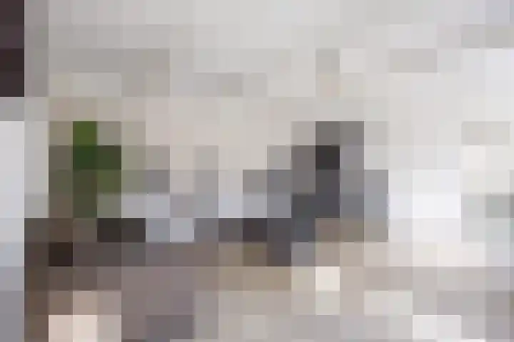 Bredeweg 23 Westeremden thumbnail 24