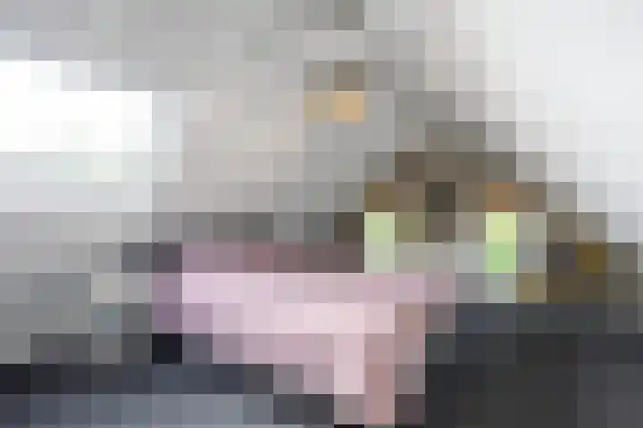 Bredeweg 23 Westeremden thumbnail 33