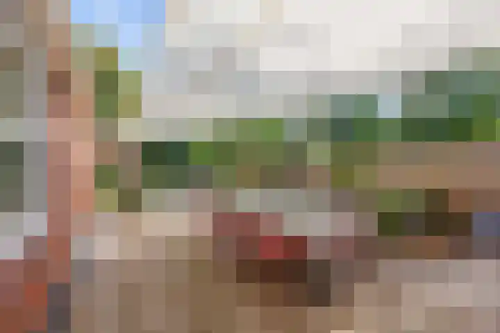 Bredeweg 23 Westeremden thumbnail 36