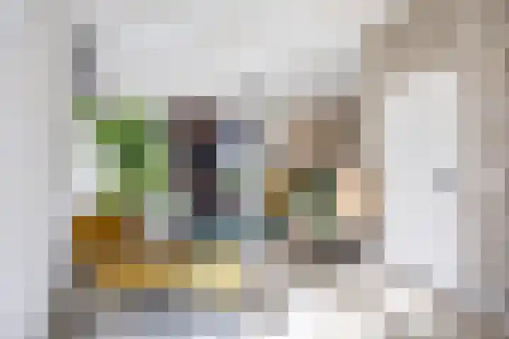 Bredeweg 23 Westeremden thumbnail 4