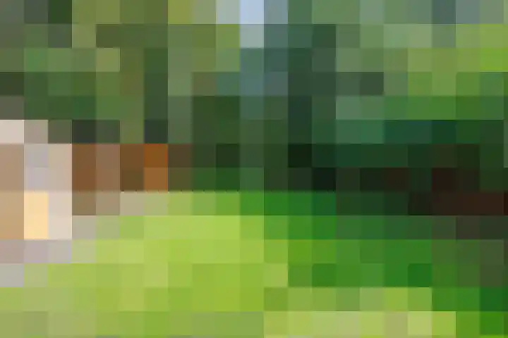 Bredeweg 23 Westeremden thumbnail 44