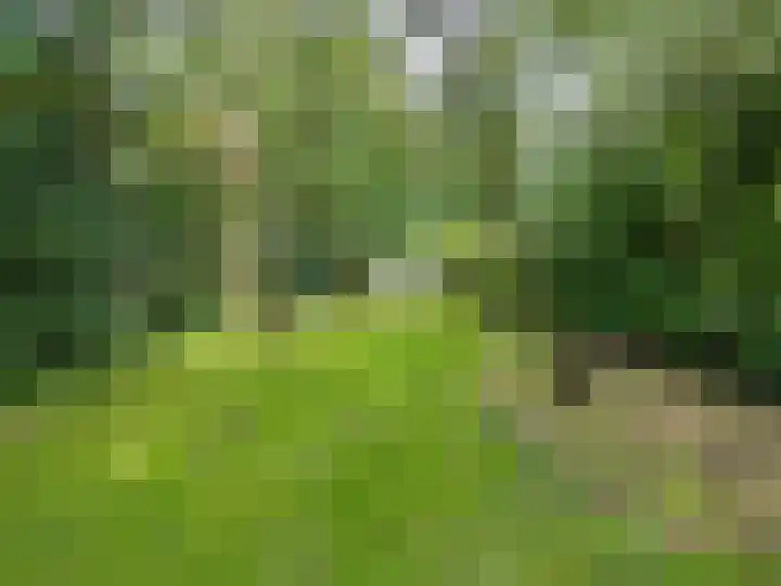Bredeweg 23 Westeremden thumbnail 45
