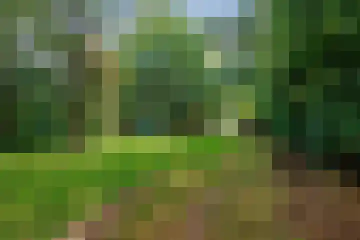 Bredeweg 23 Westeremden thumbnail 46