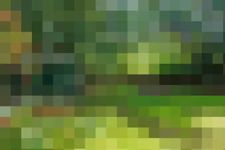 Bredeweg 23 Westeremden thumbnail 47