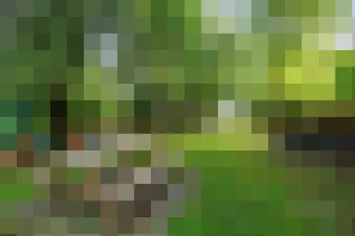 Bredeweg 23 Westeremden thumbnail 49
