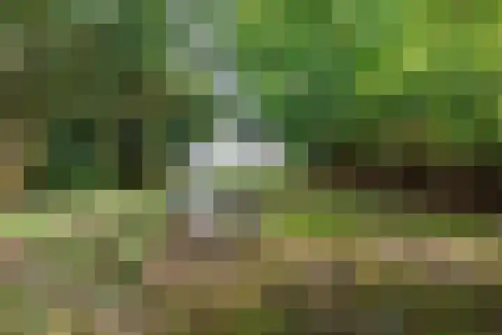 Bredeweg 23 Westeremden thumbnail 52