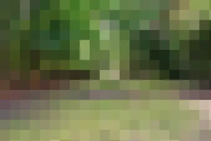 Bredeweg 23 Westeremden thumbnail 54