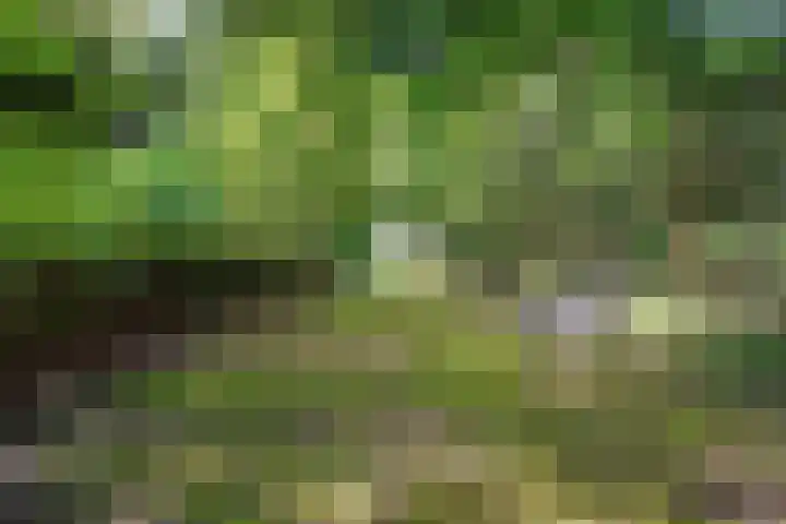 Bredeweg 23 Westeremden thumbnail 55